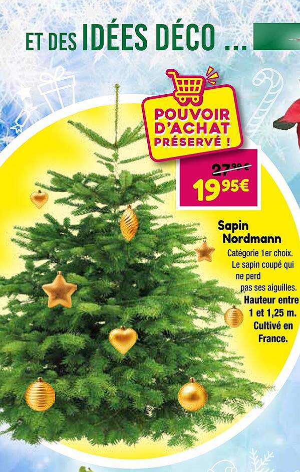 sapin nordmann
