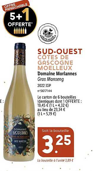 sud-ouest côtes de gascogne moelleux domaine morlannes gros manseng 2022 igp