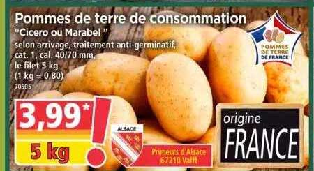 Pommes De Terre De Consommation "cicero Ou Marabel"
