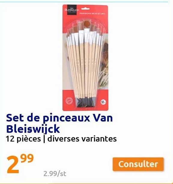 Set De Pinceaux Van Bleiswijck