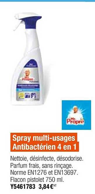 spray multi-usages antibactérien 4 en 1 mr propre
