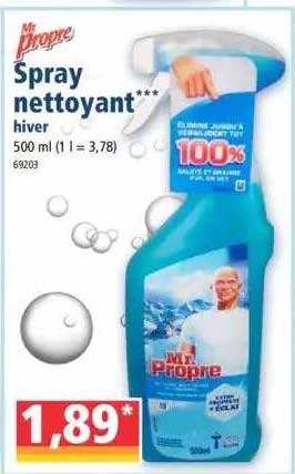 spray nettoyant hiver mr propre