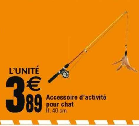 accessoire d'activité pour chat