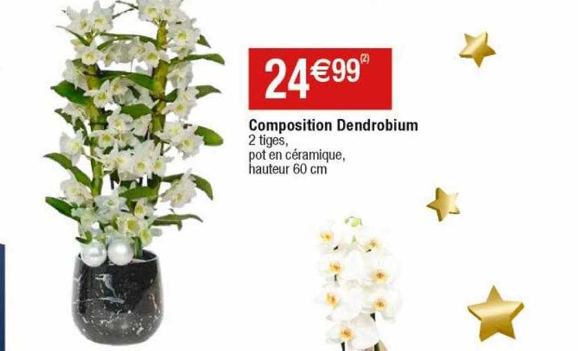 Composition Dendrobium