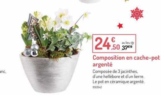 Composition En Cache-pot Argenté