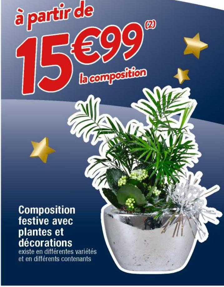composition festive avec plantes et décorations