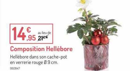 composition hellébore