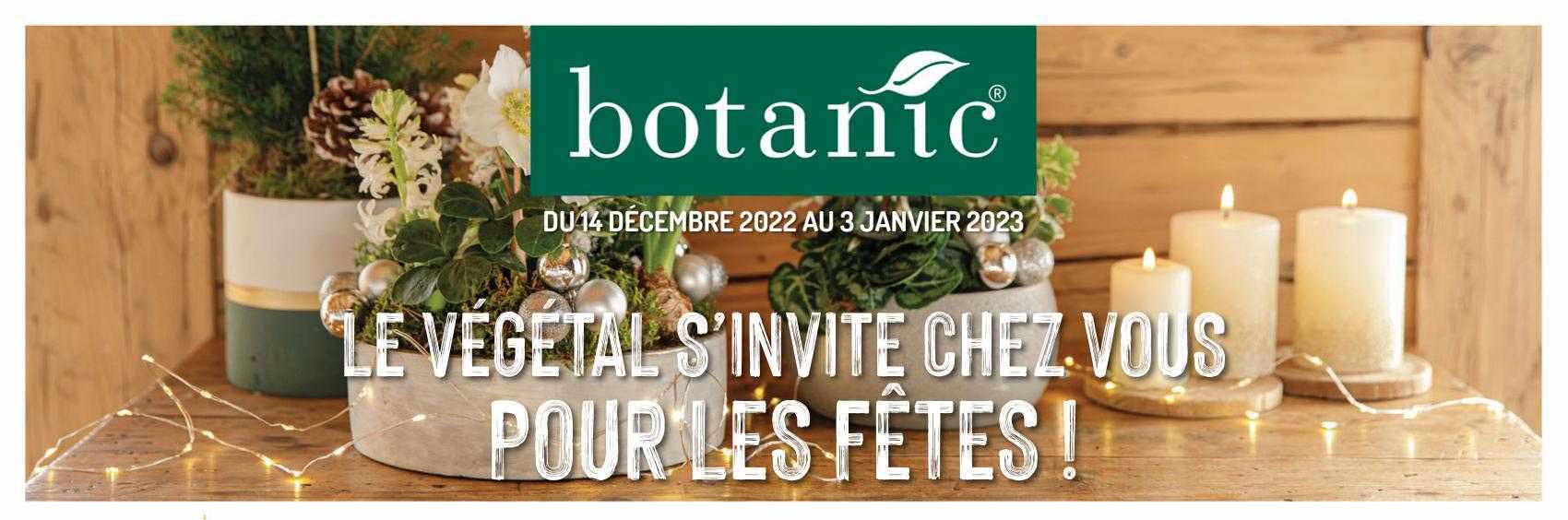 le végétal s'invite chez vous pour les fêtes !