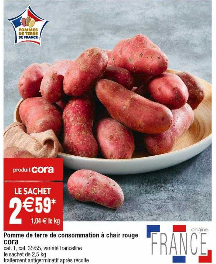 Pomme De Terre De Consommation à Chair Rouge Cora