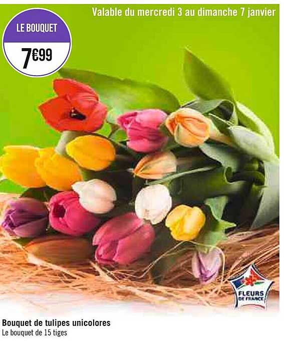 Bouquet De Tulipes Unicolores