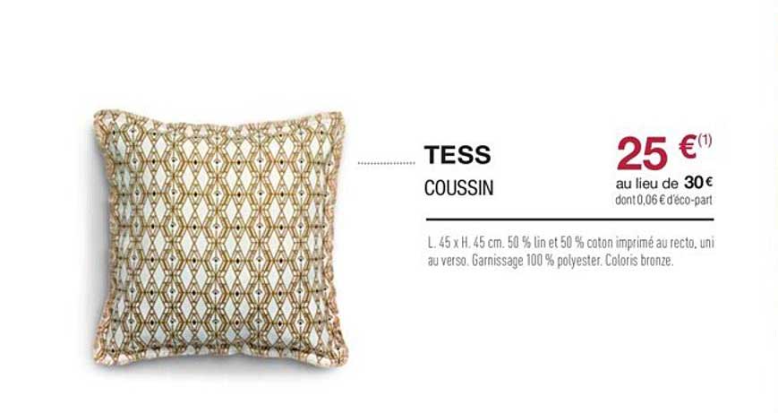 coussin tess