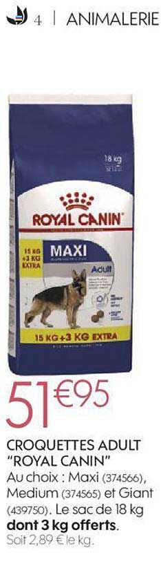 croquettes adult "royal canin"