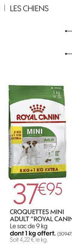croquettes mini adult "royal canin "