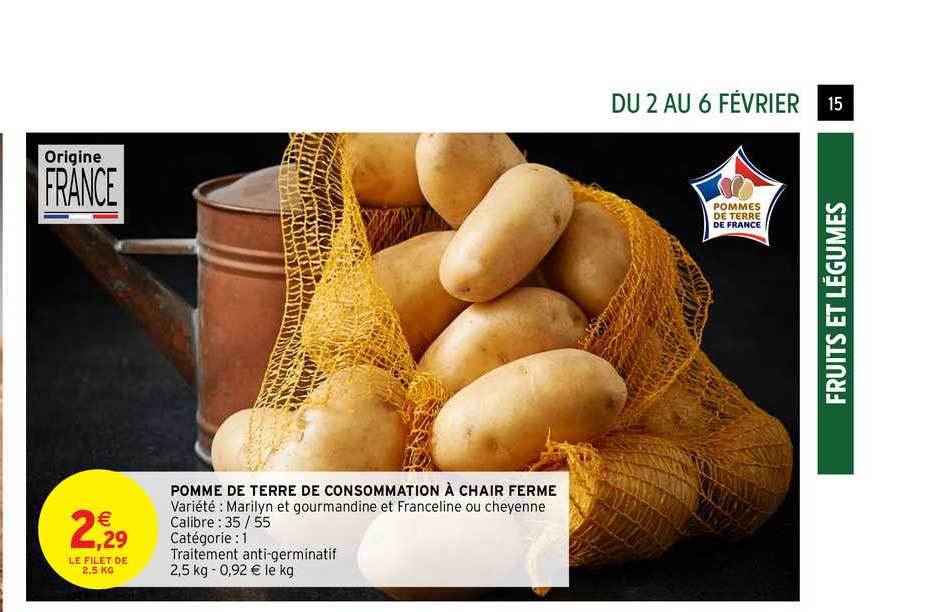 Pomme De Terre De Consommation à Chair Ferme