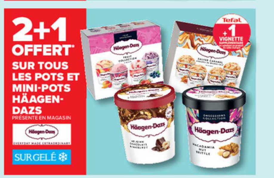 pots et mini-pots häagen-dazs