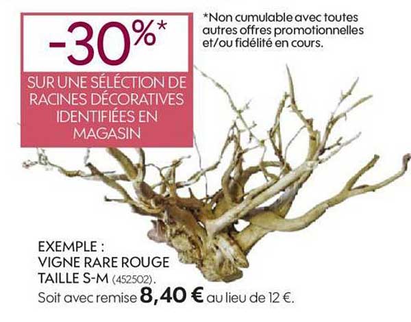 racines décoratives