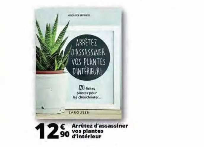 arrêtez d'assassiner vos plantes d'intérieur