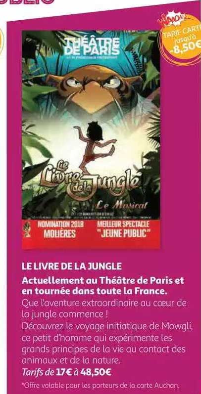 le livre de la jungle actuellement au théâtre de paris et en tournée dans toute la france