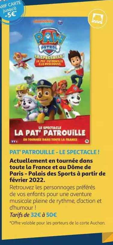 pat'patrouille - le spectacle !