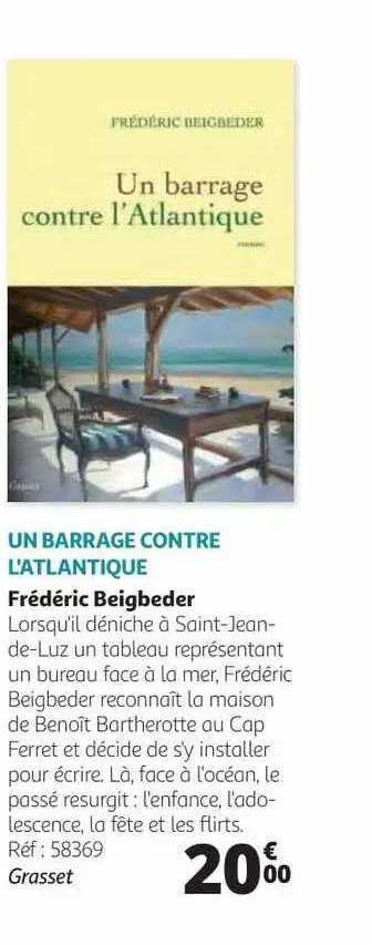 un barrage contre l'atlantique frédéric beigbeder