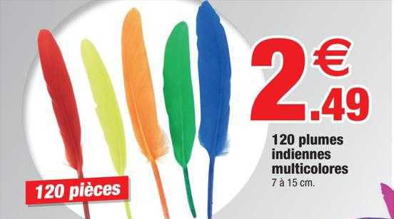 120 Plumes Indiennes Multicolores