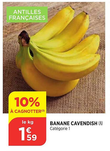 Banane Cavendish