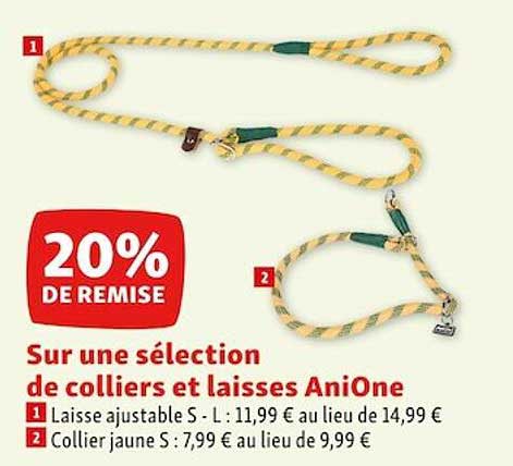 Colliers Et Laisses Anione