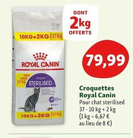 croquettes royal canin