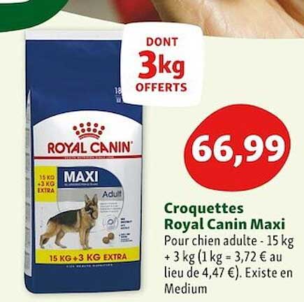 croquettes royal canin maxi