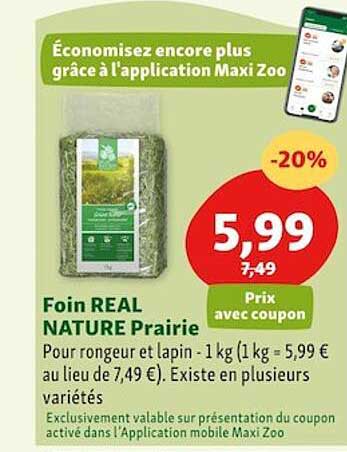 foin real nature prairie