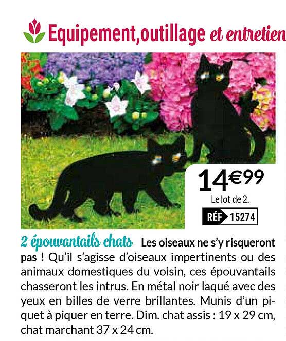 2 épouvantails Chats