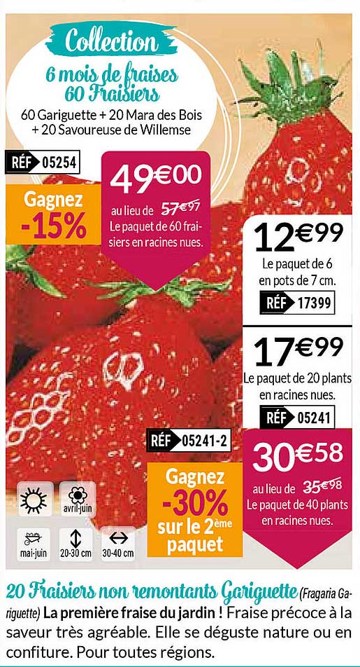 20 fraisiers non remontants gariguette