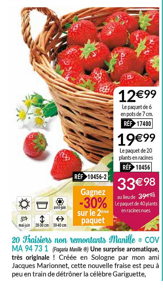 20 fraisiers non remontants manille cov ma 94 73 1