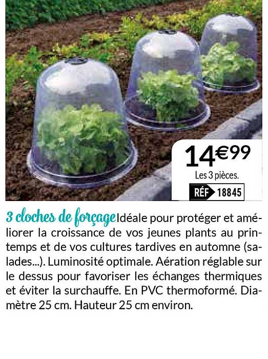 3 cloches de forçage