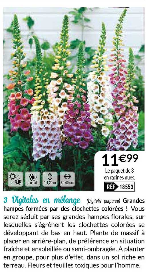 3 digitales en mélange