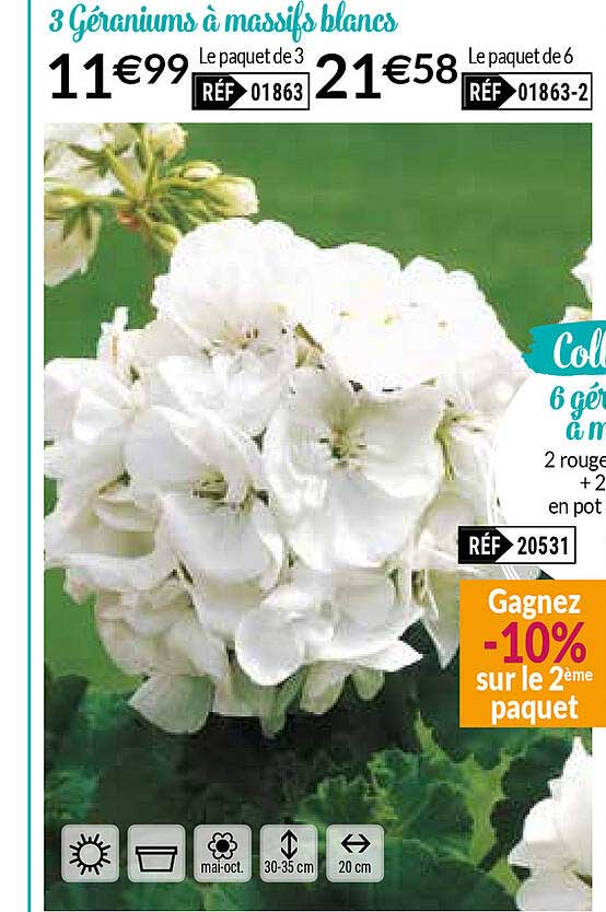 3 géraniums à massifs blancs
