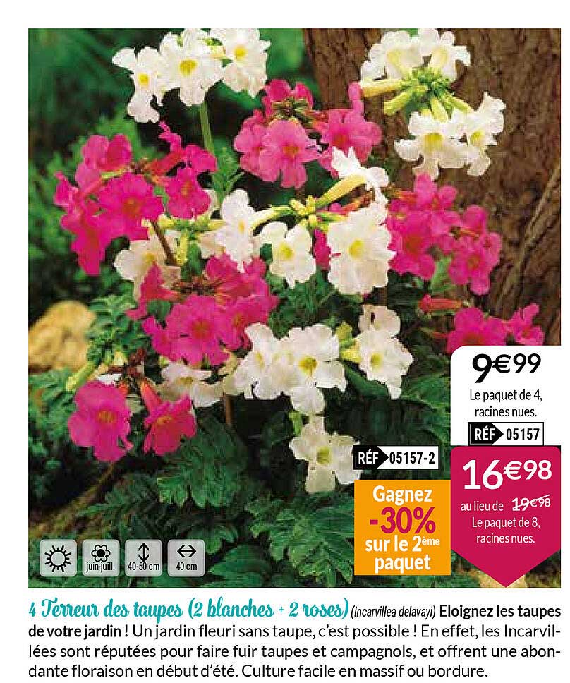 4 terreur des taupes (2 blanches - 2 roses)