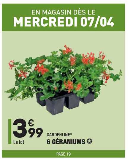 6 géraniums gardenline