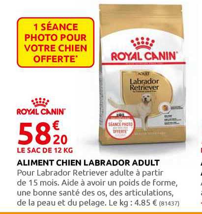 aliment chien labrador adult royal canin