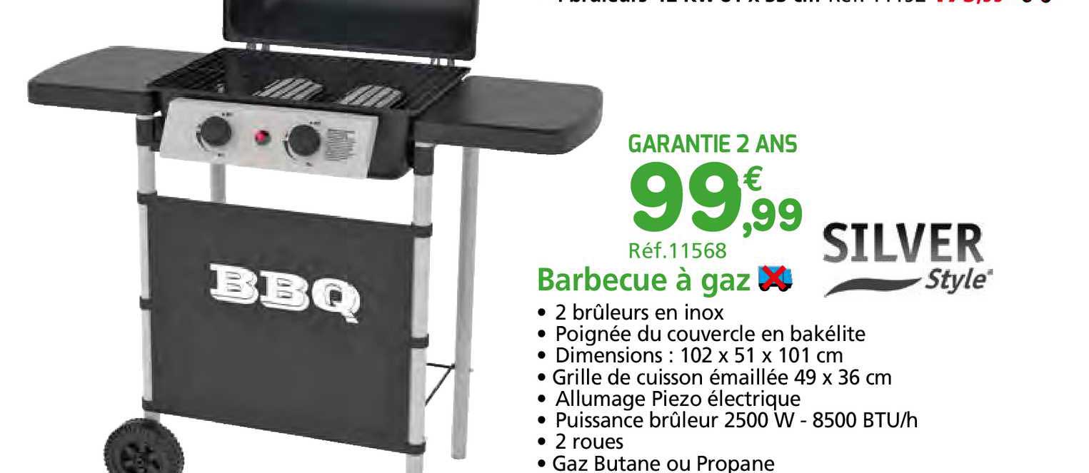 Barbecue à Gaz Silver Style