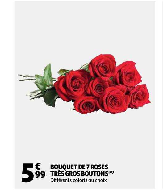 bouquet de 7 roses très gros boutons
