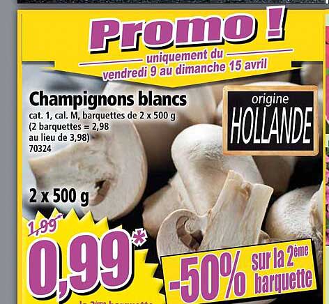 Champignons Blancs