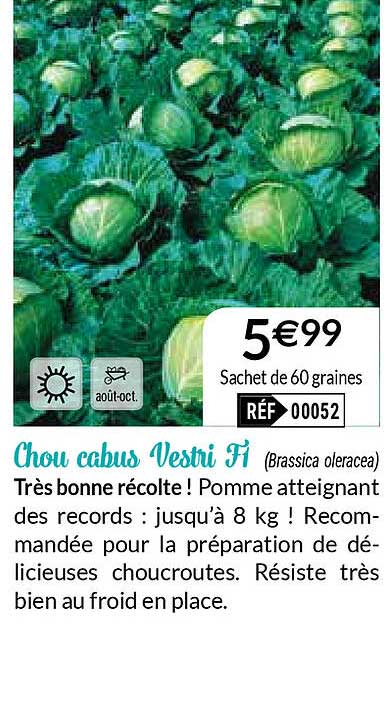 Chou Cabus Vestri F1