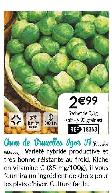 chou de bruxelles igor f1