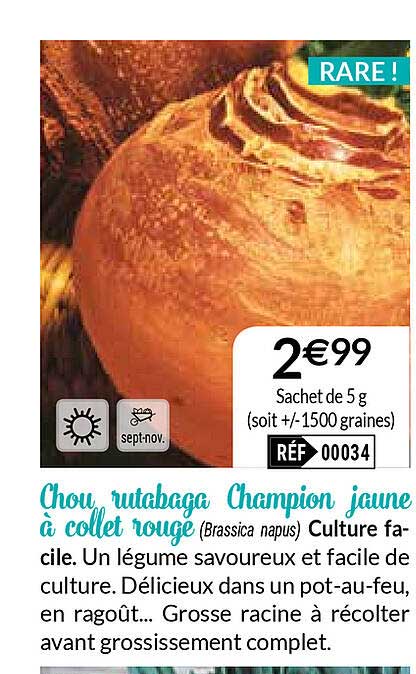 chou rutabaga champion jaune à collet rouge