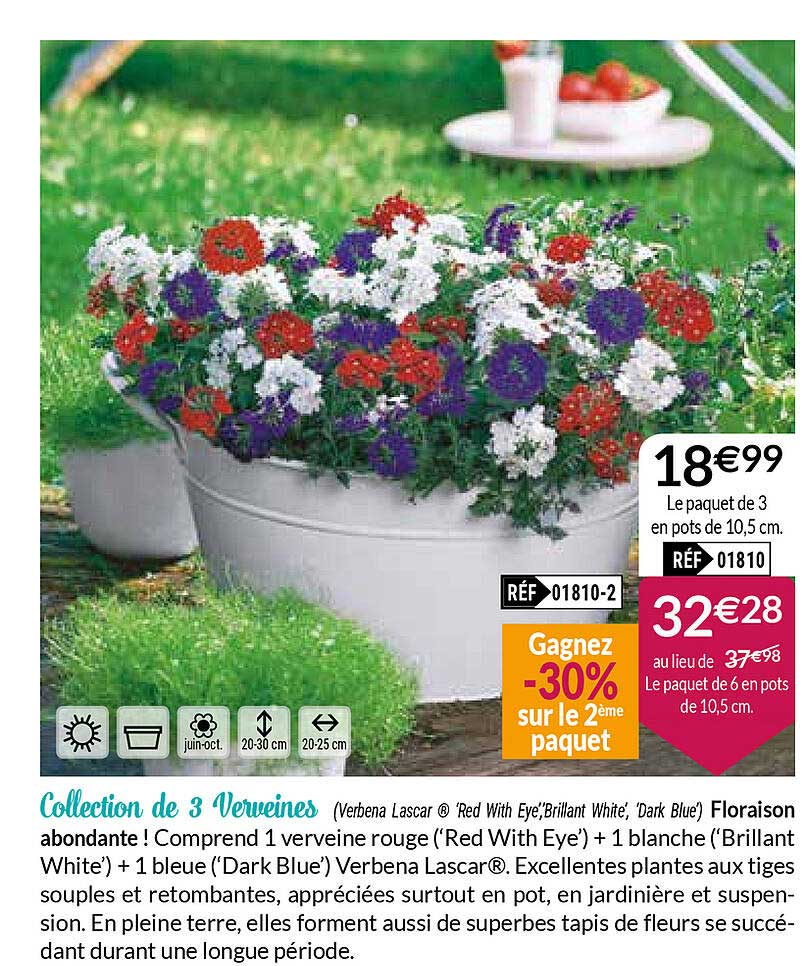 collection de 3 verveines