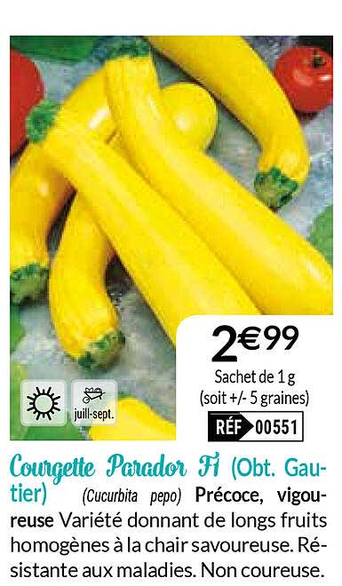 courgette parador f1 (obt. gautier)