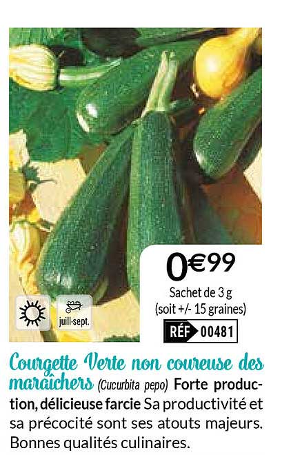 courgette verte non coureuse des maraîchers