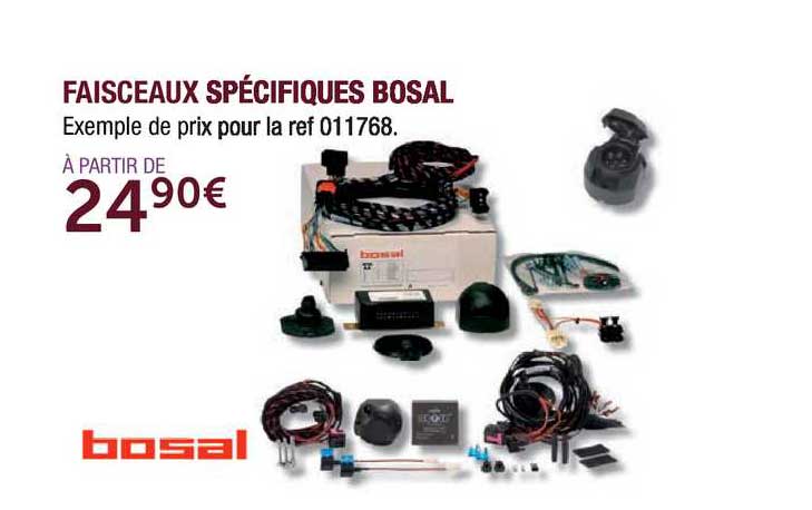 faisceaux spécifiques bosal