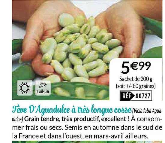 fève d'aguadulce à très longue cosse